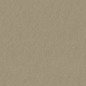 Anderson Tuftex Carpet Mosaic Oak Ridge 00114_ZZ076