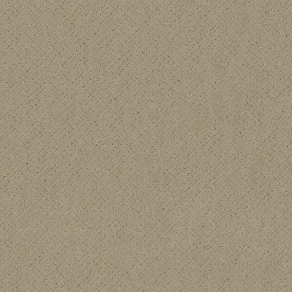 Anderson Tuftex Carpet Mosaic Oak Ridge 00114_ZZ076