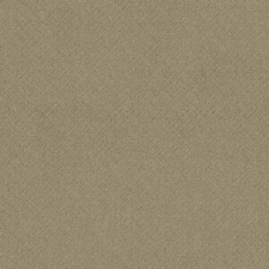 Anderson Tuftex Carpet Mosaic Coronado 00115_ZZ076