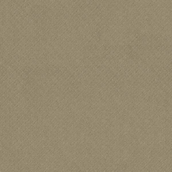 Anderson Tuftex Carpet Mosaic Coronado 00115_ZZ076