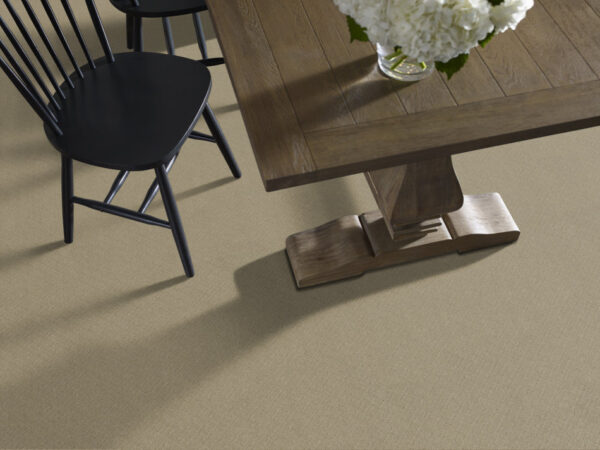 Anderson Tuftex Carpet Mosaic Coronado 00115_ZZ076 - Image 2
