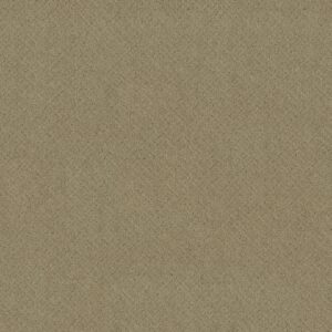 Anderson Tuftex Carpet Mosaic Folklore 00123_ZZ076