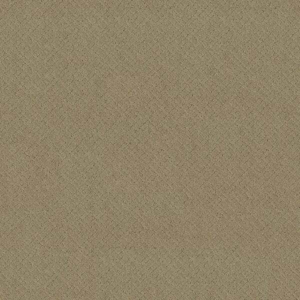 Anderson Tuftex Carpet Mosaic Folklore 00123_ZZ076