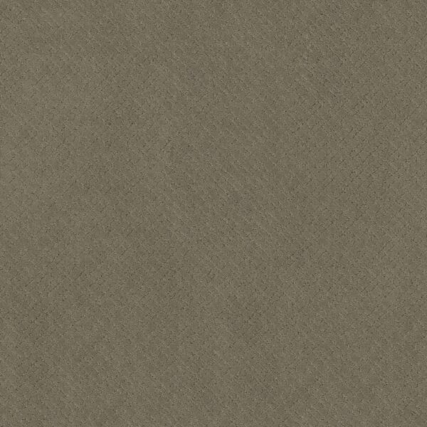 Anderson Tuftex Carpet Mosaic Rockport 00515_ZZ076