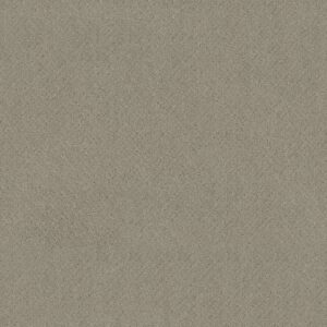 Anderson Tuftex Carpet Mosaic Half Moon 00531_ZZ076