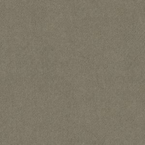 Anderson Tuftex Carpet Mosaic Imperial 00532_ZZ076