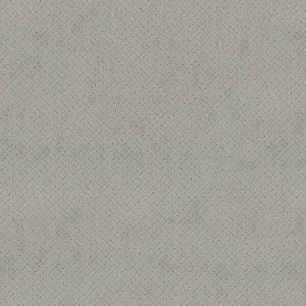 Anderson Tuftex Carpet Mosaic Gentle Gray 00541_ZZ076