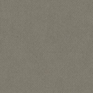 Anderson Tuftex Carpet Mosaic Intrigue 00552_ZZ076