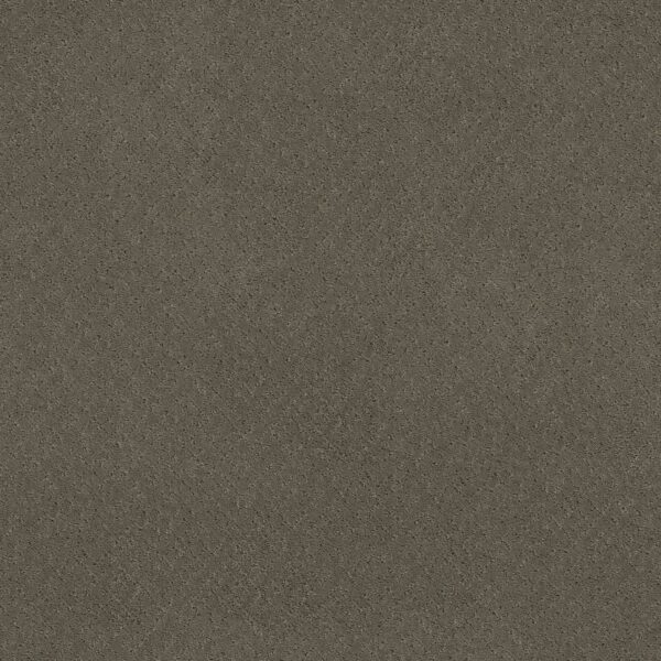 Anderson Tuftex Carpet Mosaic Dash 00556_ZZ076