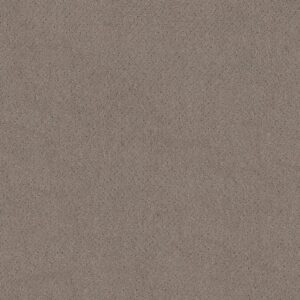 Anderson Tuftex Carpet Mosaic Socialite 00851_ZZ076