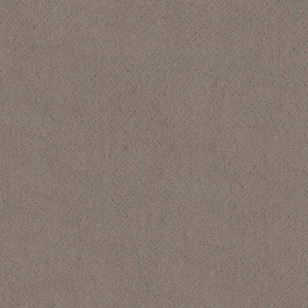 Anderson Tuftex Carpet Mosaic Socialite 00851_ZZ076