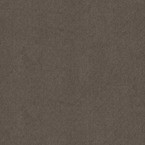Anderson Tuftex Carpet Mosaic Chantrelle 00857_ZZ076
