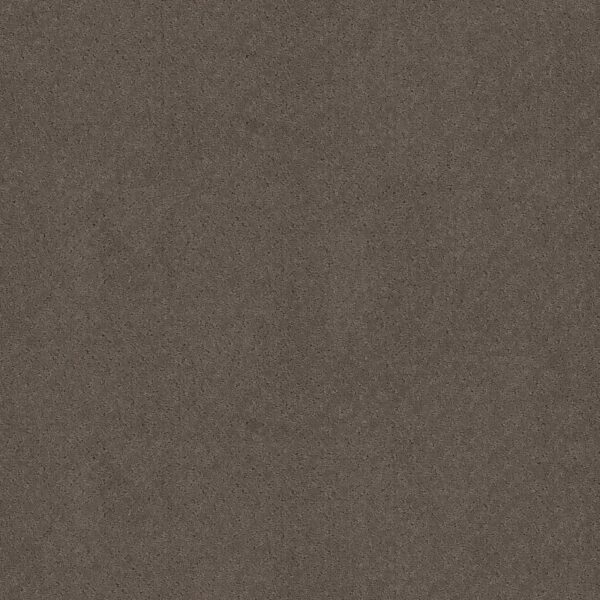 Anderson Tuftex Carpet Mosaic Chantrelle 00857_ZZ076