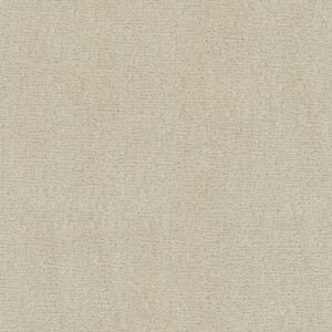 Anderson Tuftex Carpet Sketch Almond Milk 00101_ZZ077