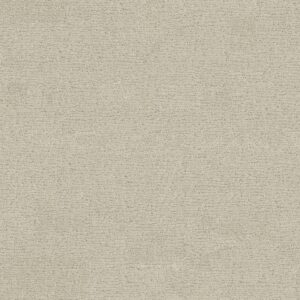 Anderson Tuftex Carpet Sketch Salt Box 00102_ZZ077