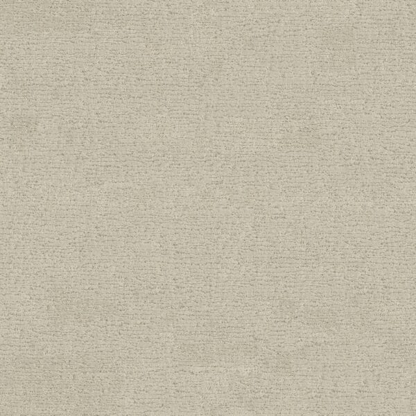 Anderson Tuftex Carpet Sketch Salt Box 00102_ZZ077