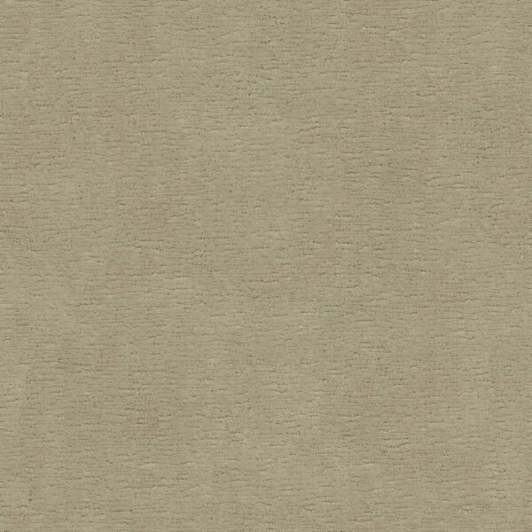 Anderson Tuftex Carpet Sketch Bungalow 00103_ZZ077