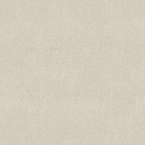 Anderson Tuftex Carpet Sketch Aria 00111_ZZ077