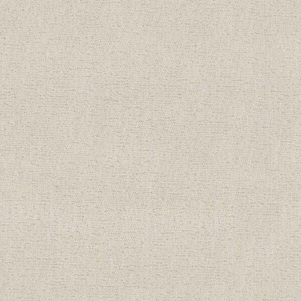 Anderson Tuftex Carpet Sketch Aria 00111_ZZ077