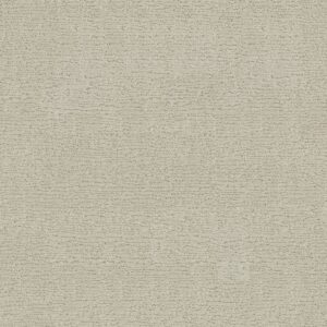 Anderson Tuftex Carpet Sketch Minimal 00112_ZZ077