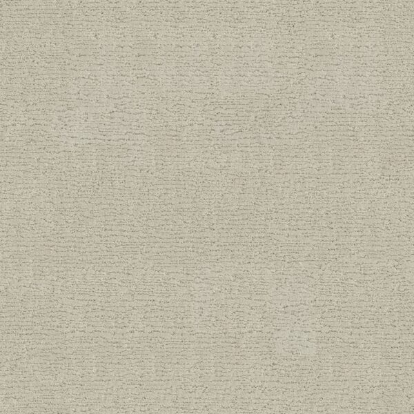 Anderson Tuftex Carpet Sketch Minimal 00112_ZZ077