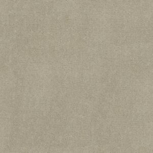 Anderson Tuftex Carpet Sketch Morning Light 00113_ZZ077