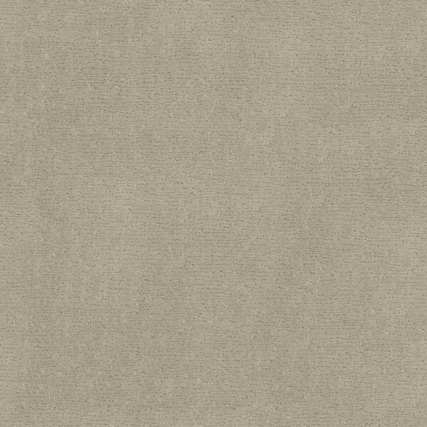 Anderson Tuftex Carpet Sketch Morning Light 00113_ZZ077