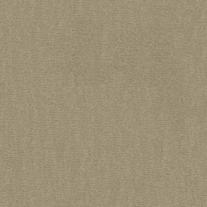 Anderson Tuftex Carpet Sketch Oak Ridge 00114_ZZ077