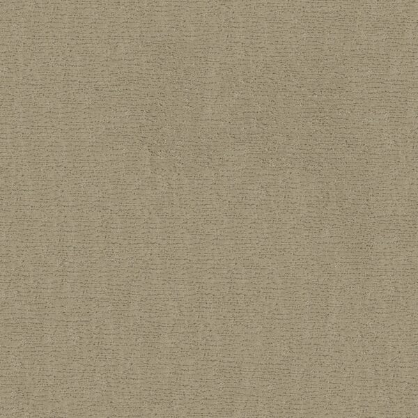 Anderson Tuftex Carpet Sketch Oak Ridge 00114_ZZ077