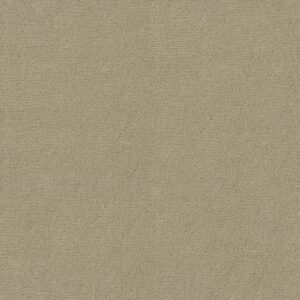 Anderson Tuftex Carpet Sketch Coronado 00115_ZZ077