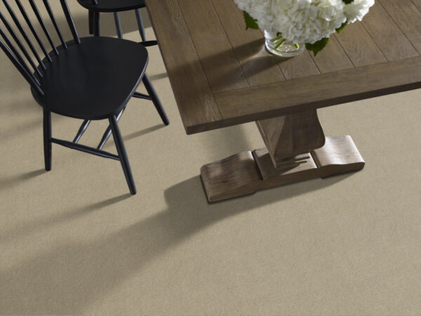 Anderson Tuftex Carpet Sketch Coronado 00115_ZZ077 - Image 2