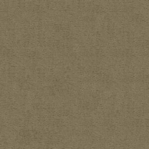 Anderson Tuftex Carpet Sketch Folklore 00123_ZZ077