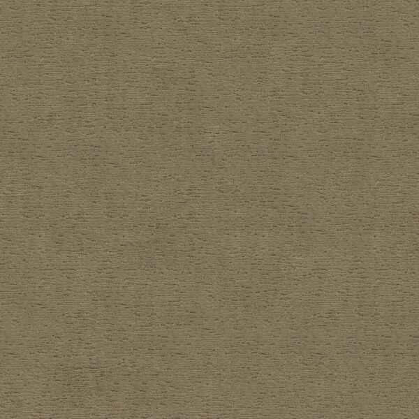 Anderson Tuftex Carpet Sketch Folklore 00123_ZZ077