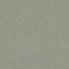 Anderson Tuftex Carpet Sketch Rain Dance 00311_ZZ077