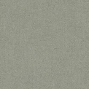 Anderson Tuftex Carpet Sketch Rain Dance 00311_ZZ077