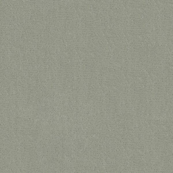 Anderson Tuftex Carpet Sketch Rain Dance 00311_ZZ077