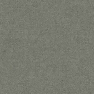 Anderson Tuftex Carpet Sketch Pine Forest 00314_ZZ077