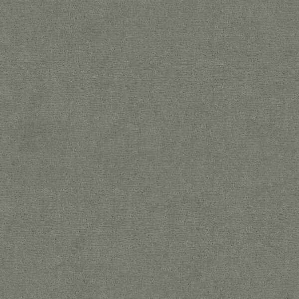 Anderson Tuftex Carpet Sketch Pine Forest 00314_ZZ077