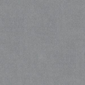 Anderson Tuftex Carpet Sketch Edgewater 00451_ZZ077