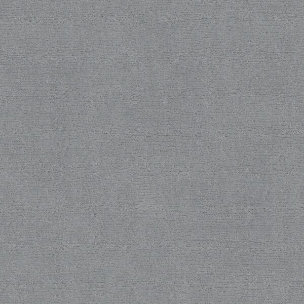 Anderson Tuftex Carpet Sketch Edgewater 00451_ZZ077