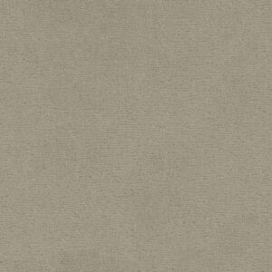 Anderson Tuftex Carpet Sketch Inner Balance 00511_ZZ077