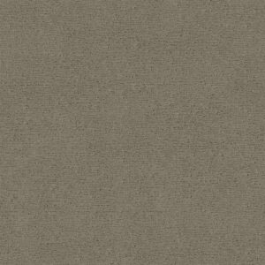 Anderson Tuftex Carpet Sketch Reflection 00512_ZZ077