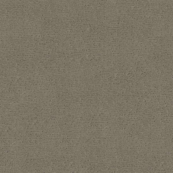 Anderson Tuftex Carpet Sketch Reflection 00512_ZZ077