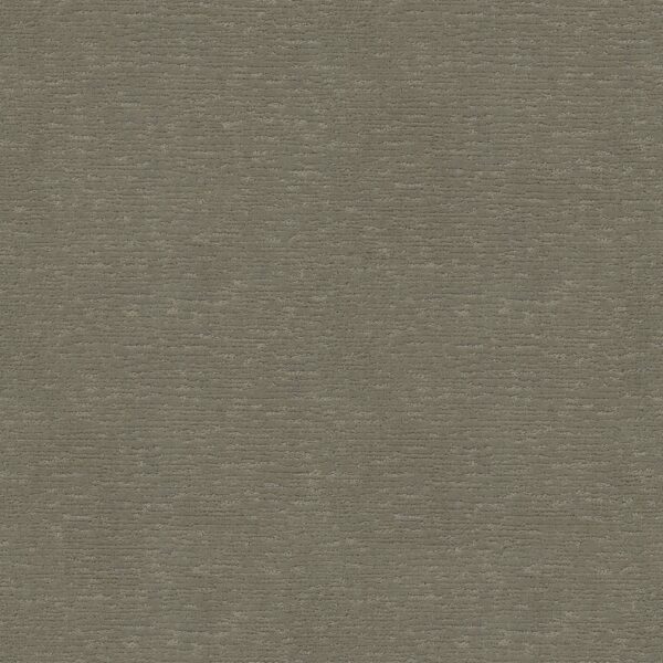 Anderson Tuftex Carpet Sketch Imperial 00532_ZZ077