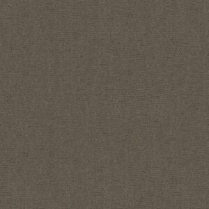 Anderson Tuftex Carpet Sketch Herbal 00535_ZZ077