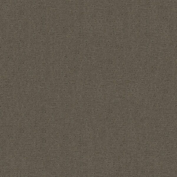Anderson Tuftex Carpet Sketch Herbal 00535_ZZ077