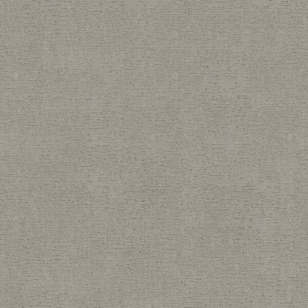 Anderson Tuftex Carpet Sketch Gentle Gray 00541_ZZ077