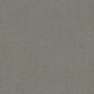 Anderson Tuftex Carpet Sketch Smoke Embers 00542_ZZ077