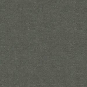 Anderson Tuftex Carpet Sketch Magical 00544_ZZ077