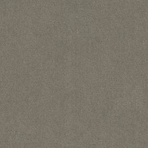 Anderson Tuftex Carpet Sketch Intrigue 00552_ZZ077